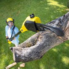 Best Pest Control for Lawns  in Williams, CA